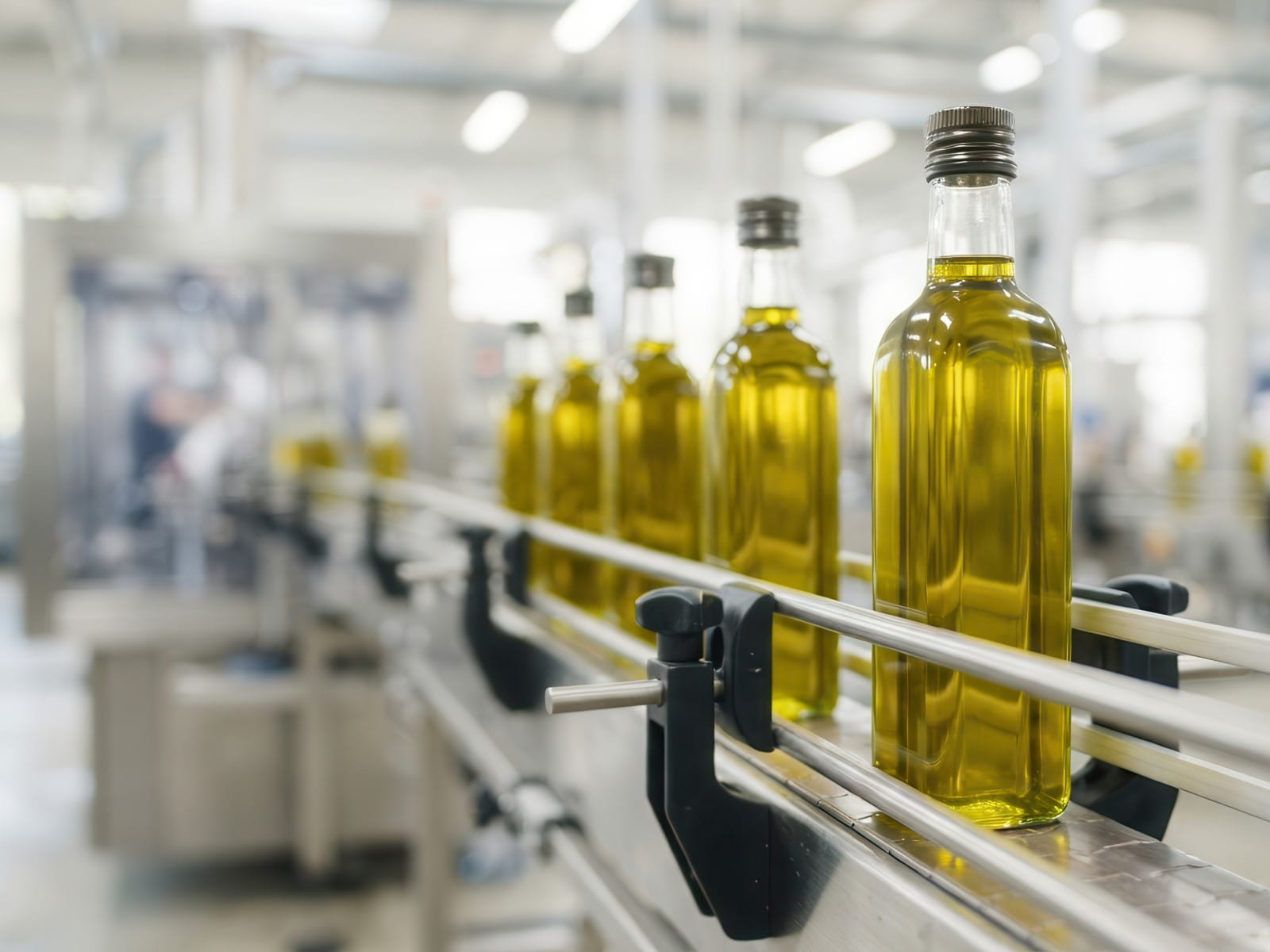 Sleek and efficient olive oil production line processing premium glass bottles