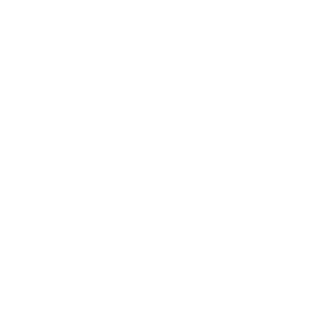 Chart icon